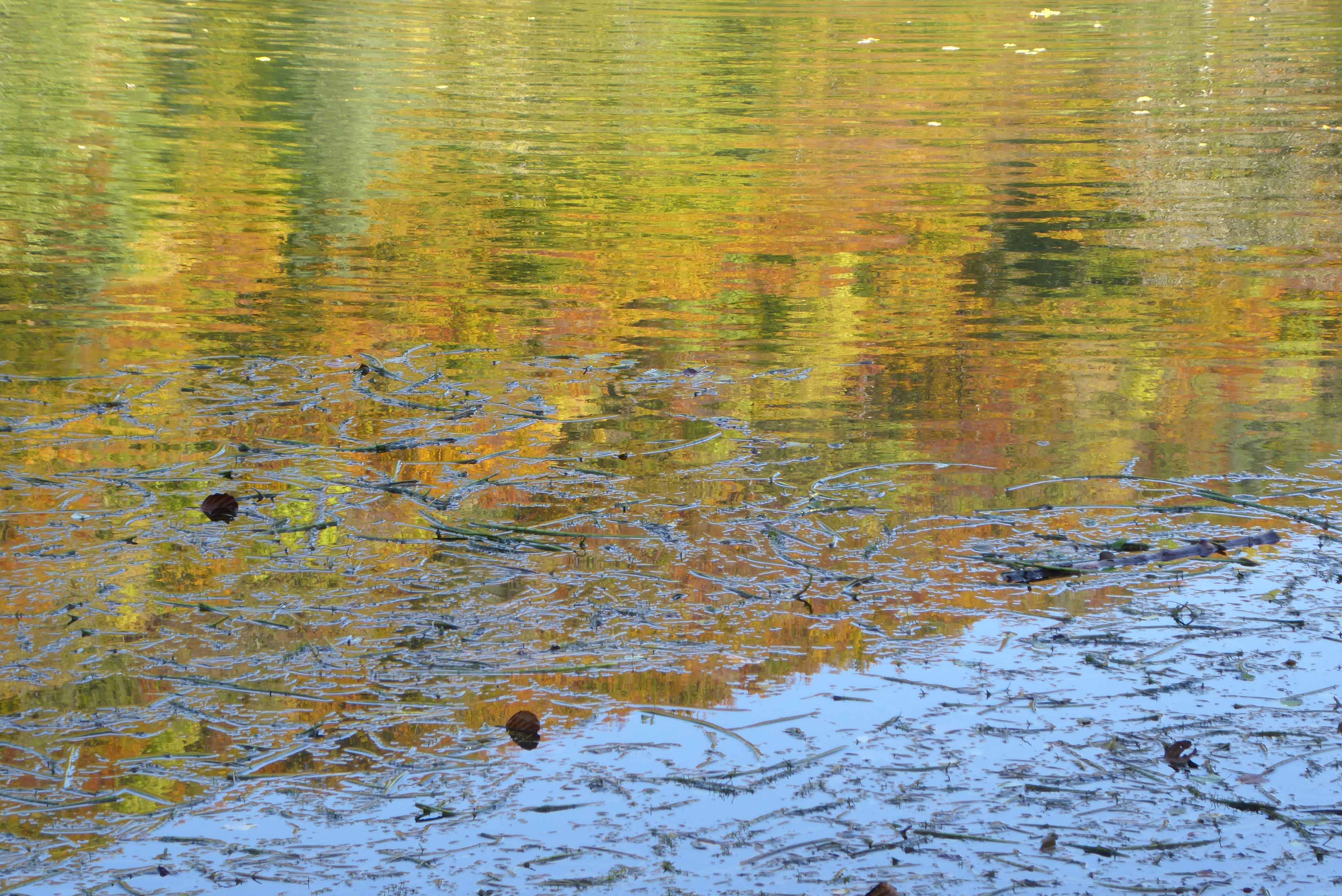Herbstspiegelung