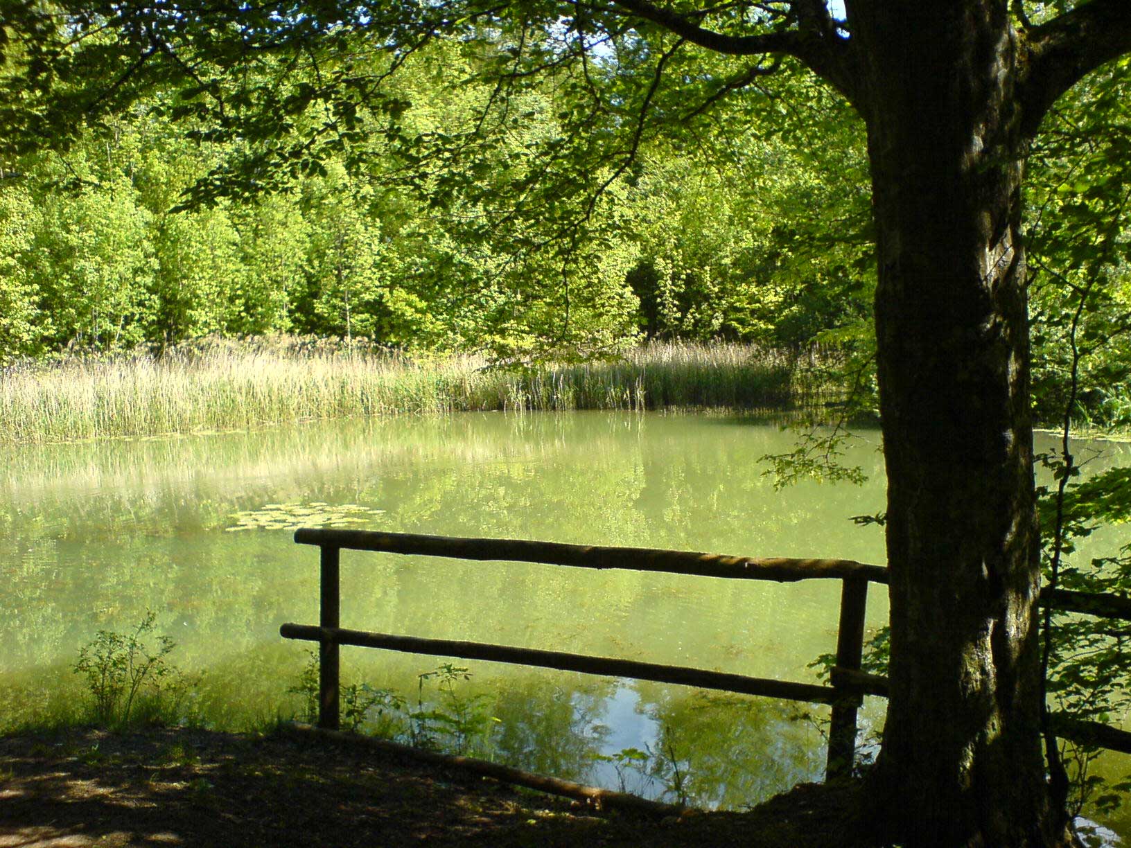 Stille Wasser...